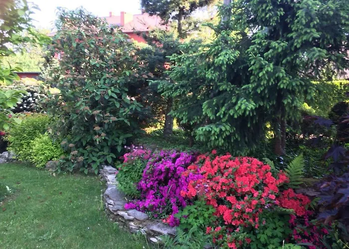 Roxi Apartamento Bachowice